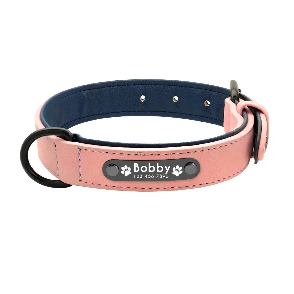 Collier en cuir personnalisé gravé pour chien