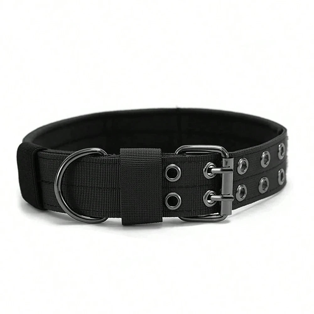 Collier tactique militaire réglable pour chien