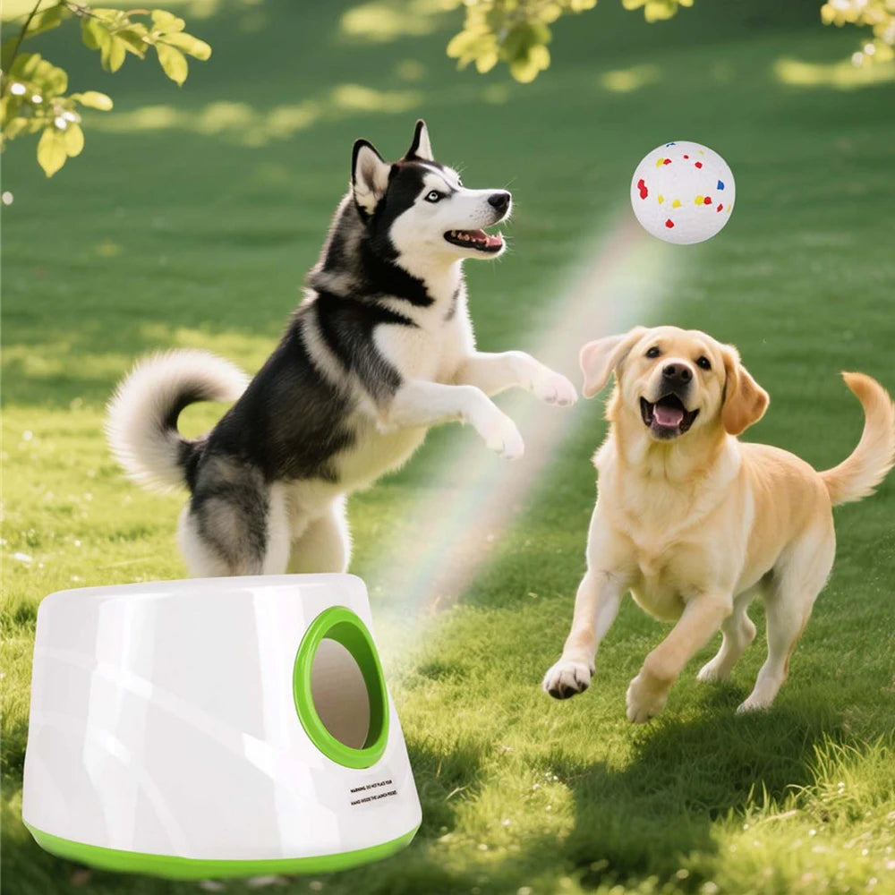 Lanceur de balles automatique intérieur/extérieur pour chien