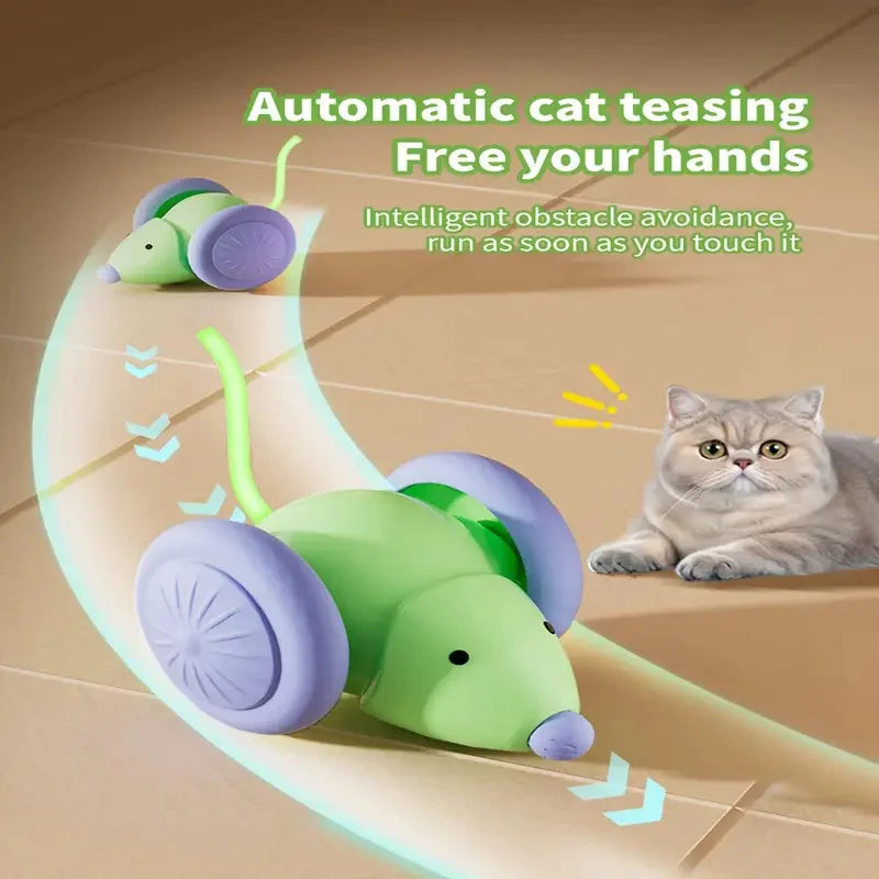 Balle interactive automatique rechargeable pour chat