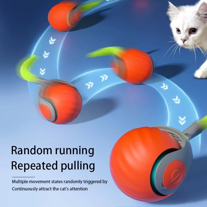 Balle interactive automatique rechargeable pour chat