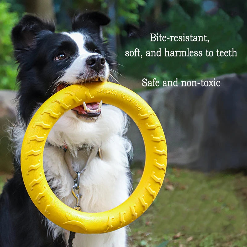 Lot de 4 jouets EVA résistants pour chien (frisbee, balles, anneau)