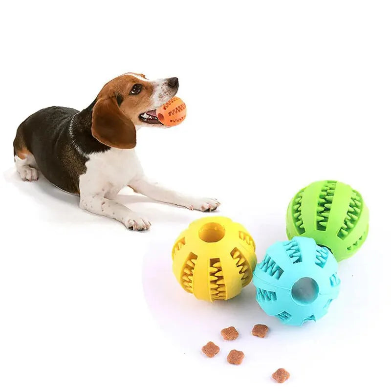 Balle à mâcher et nettoyage dentaire pour chien