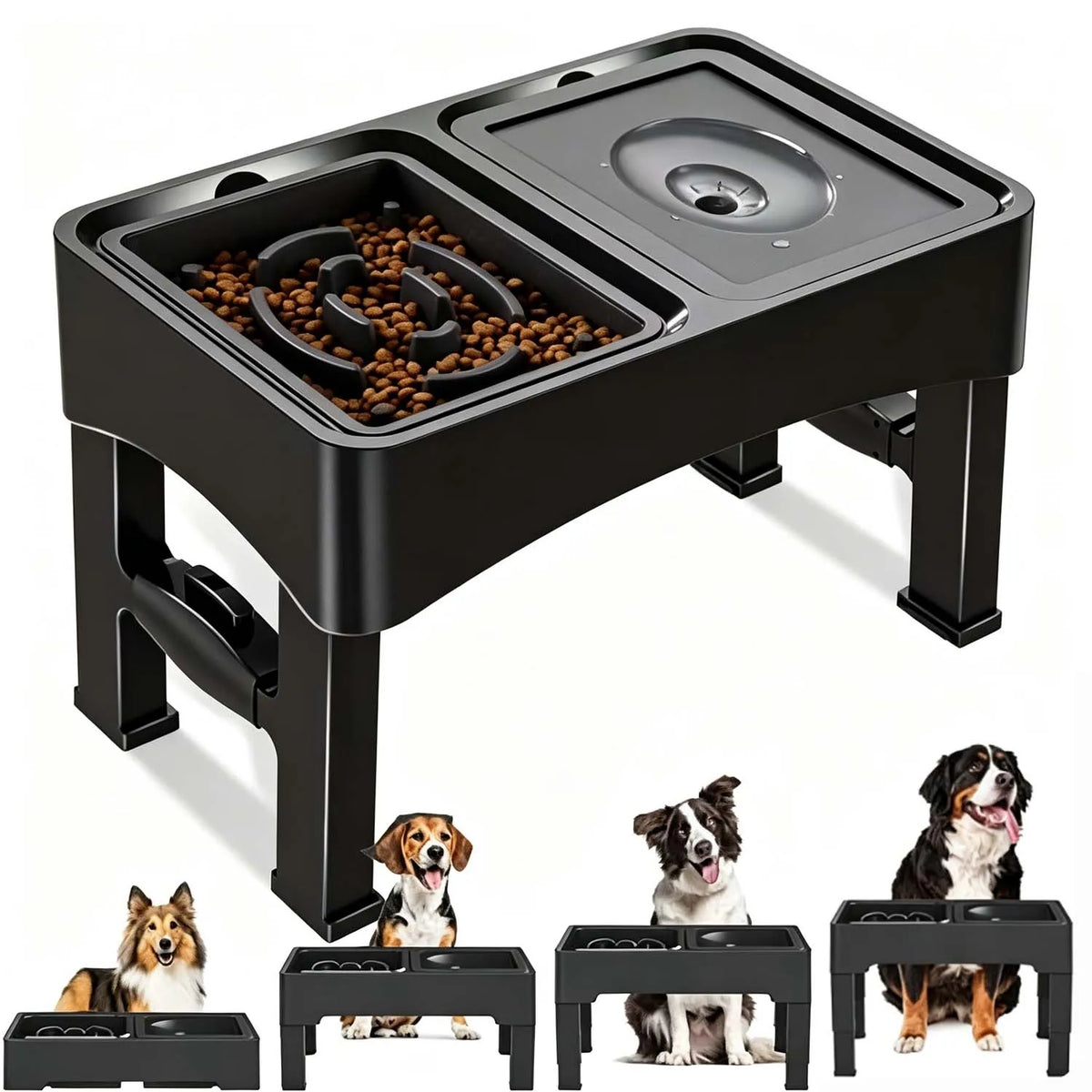 Gamelles surélevées 2-en-1 réglables pour chien
