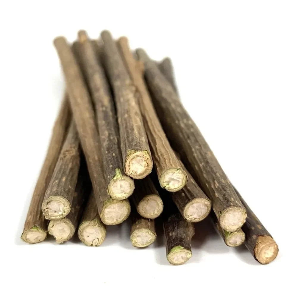Bâtons de matatabi naturel pour chat (lot de 15)