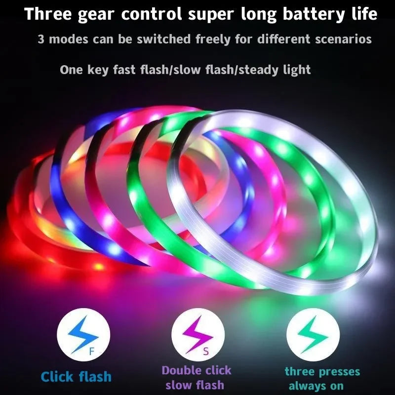 Collier lumineux LED rechargeable pour chien