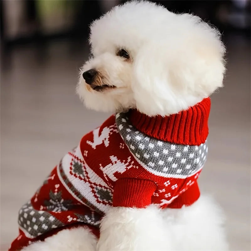 Pull de Noël tricoté pour chien et chat
