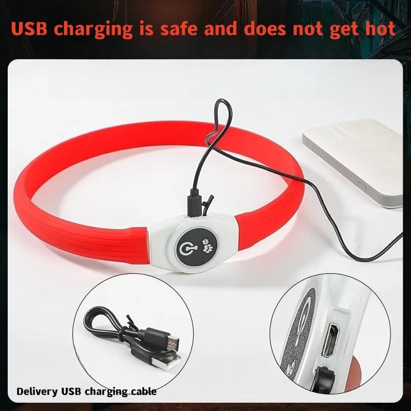 Collier lumineux LED rechargeable pour chien