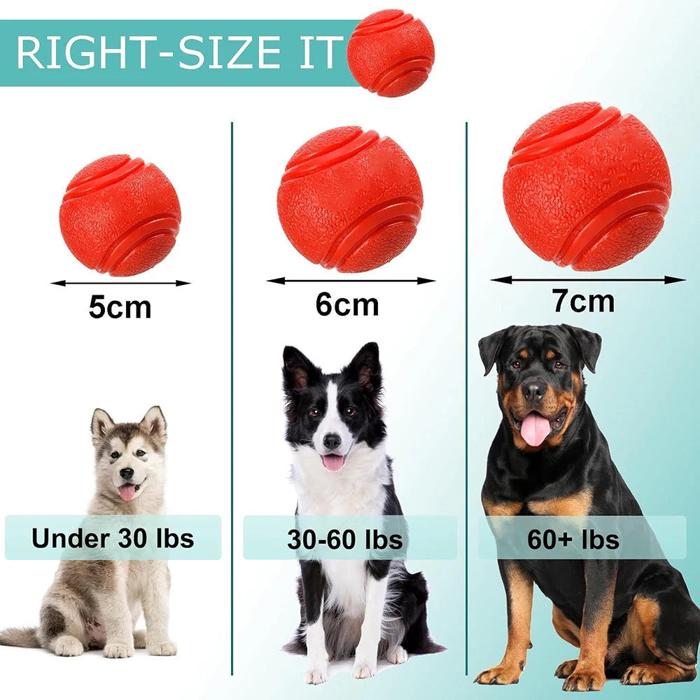 Balle solide élastique pour chien et chat