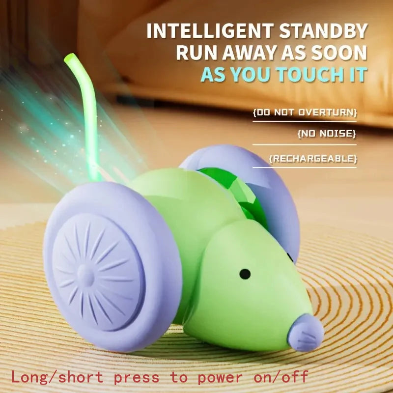 Balle interactive automatique rechargeable pour chat