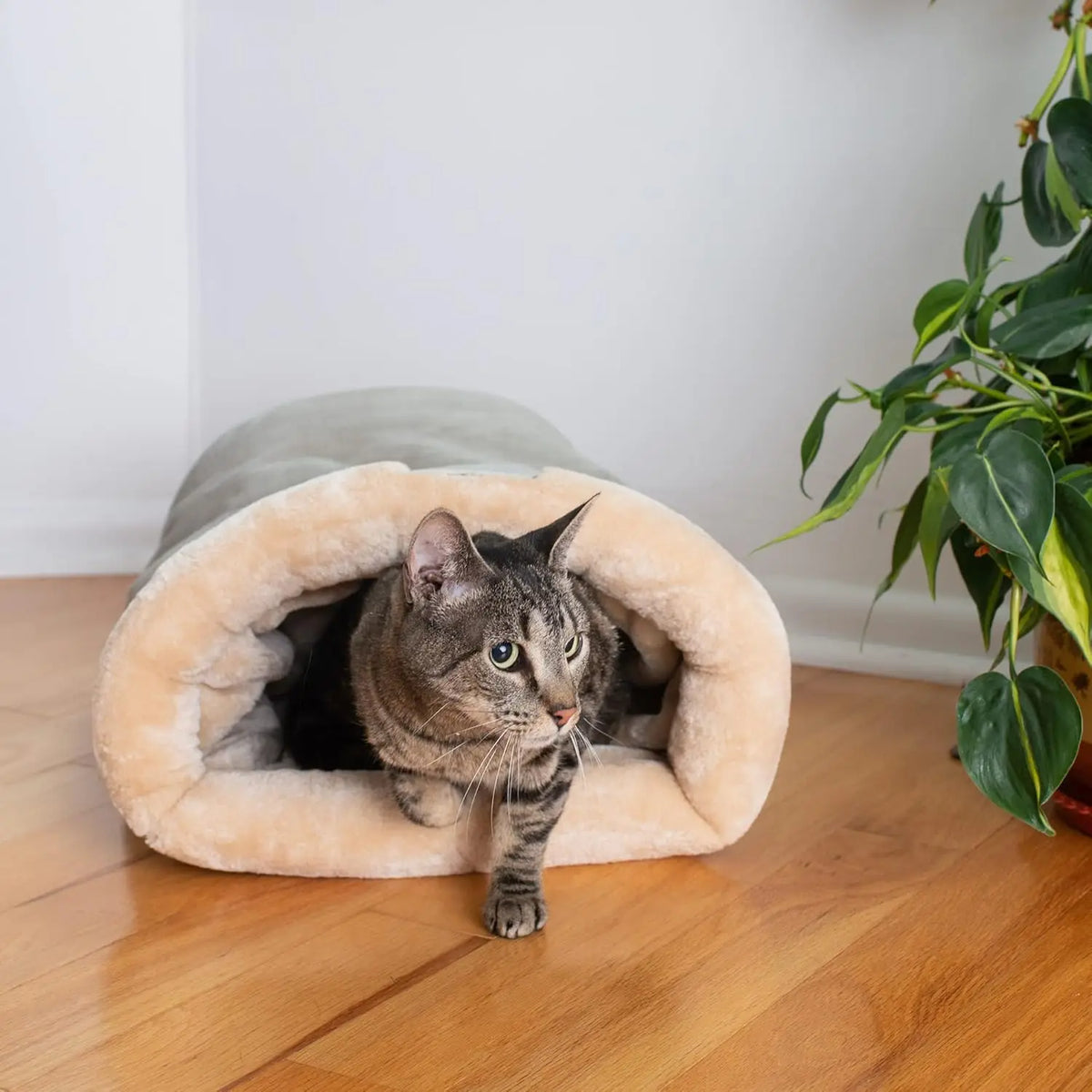 Sac de couchage chaud semi-fermé pour chat (modèle 2)