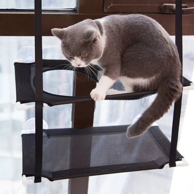 Hamac fenêtre suspendu double étage pour chat