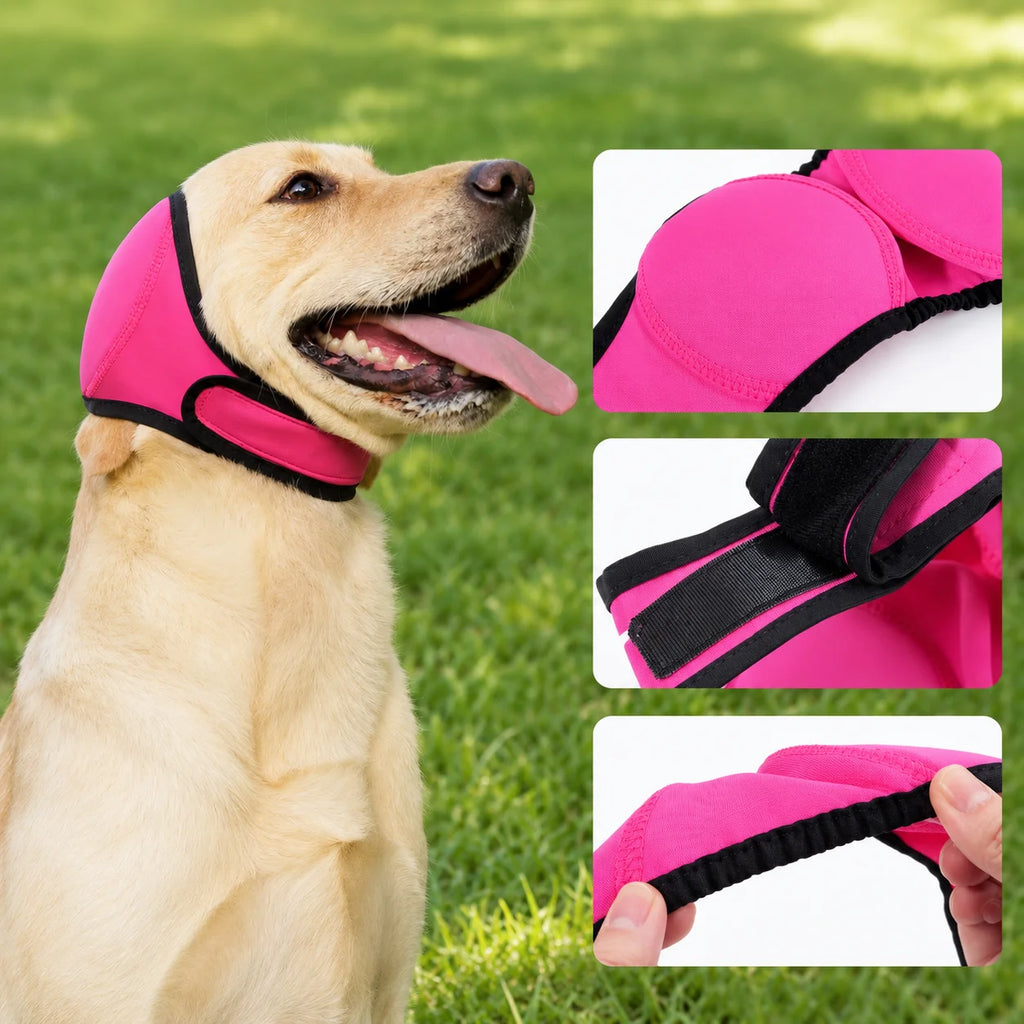 Cagoule anti-anxiété et anti-parasites pour chien