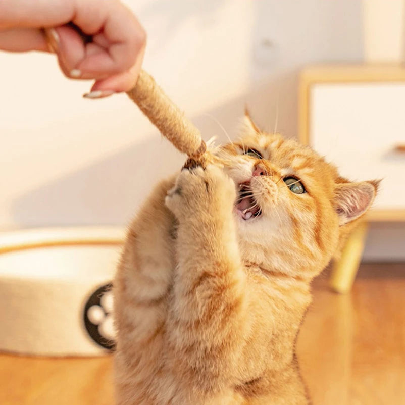Bâtons à mâcher en bois naturel pour chat (lot de 15)