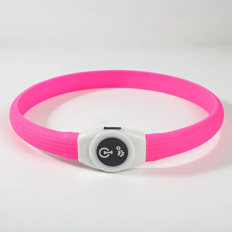 Collier lumineux LED rechargeable pour chien