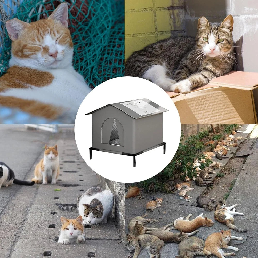 Abri extérieur pliable pour chat errant