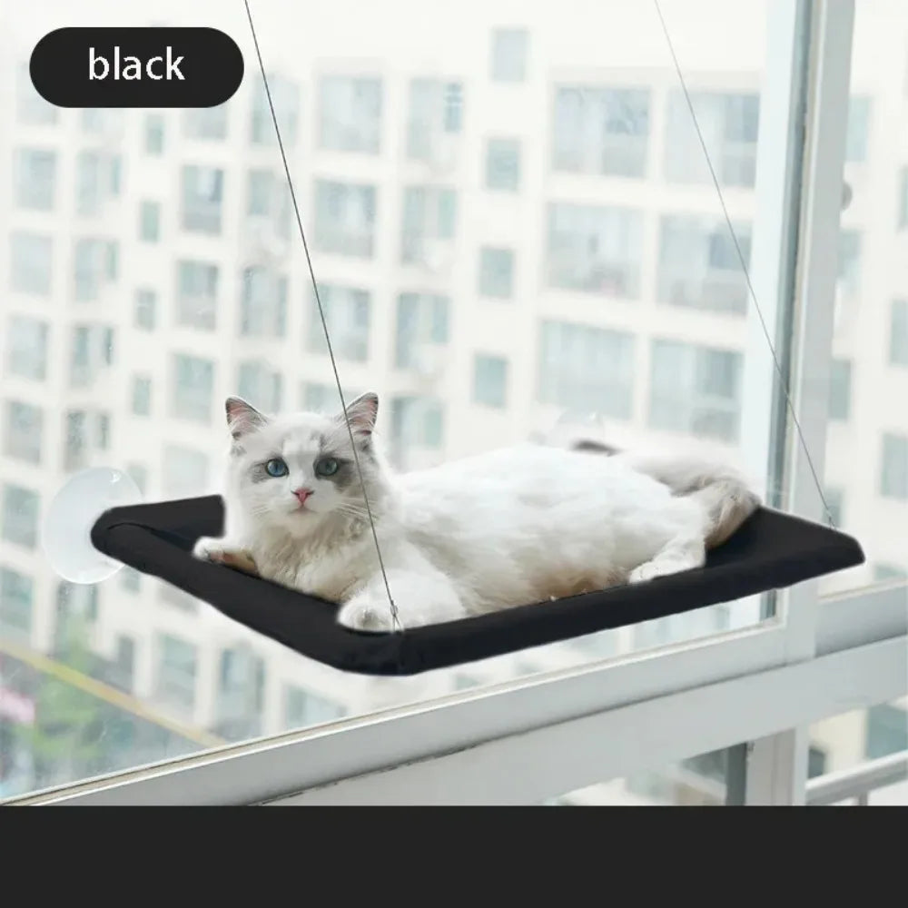 Hamac suspendu vitre pour chat