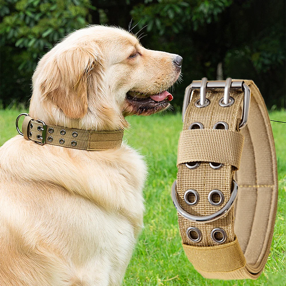 Collier tactique militaire réglable pour chien