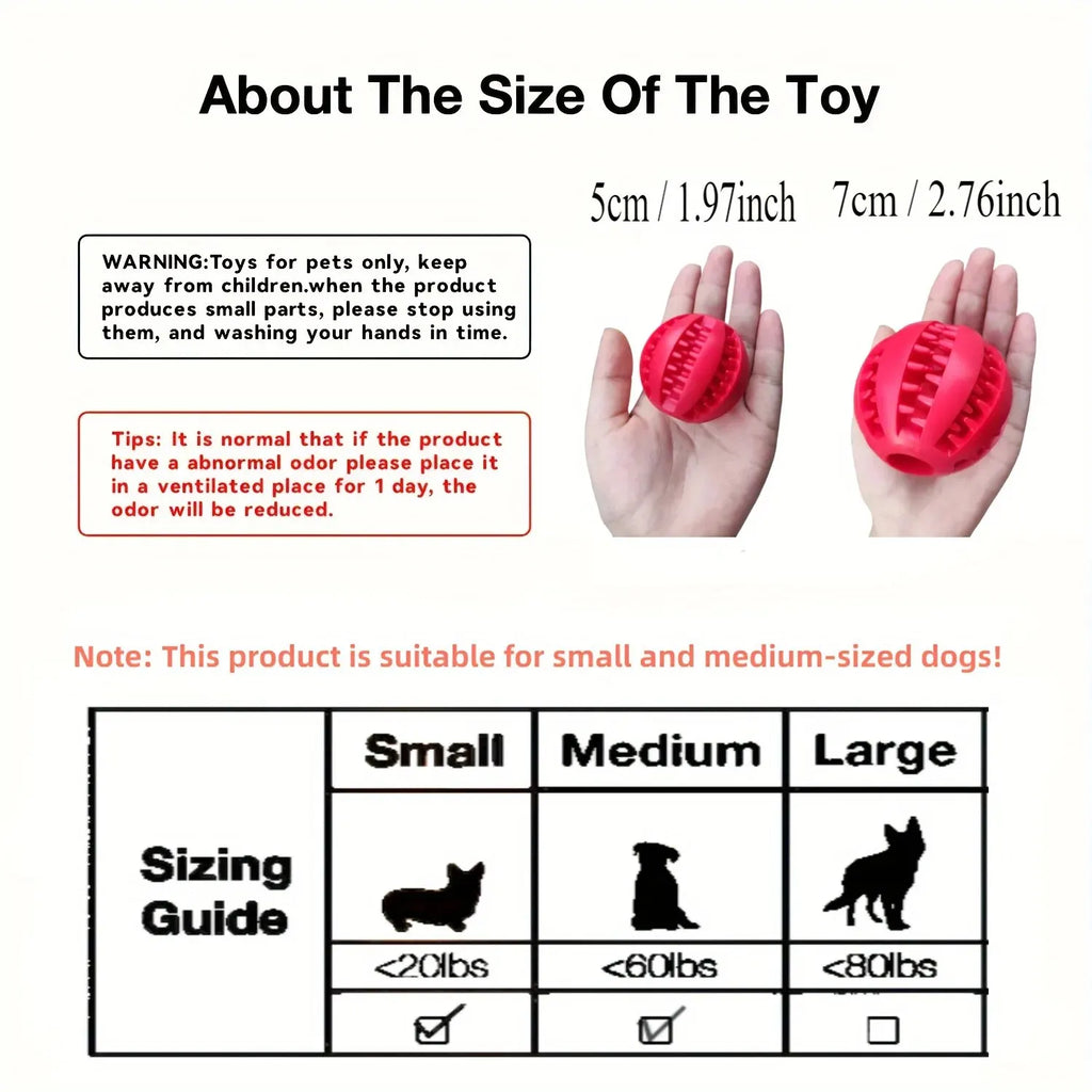Balle à mâcher et nettoyage dentaire pour chien