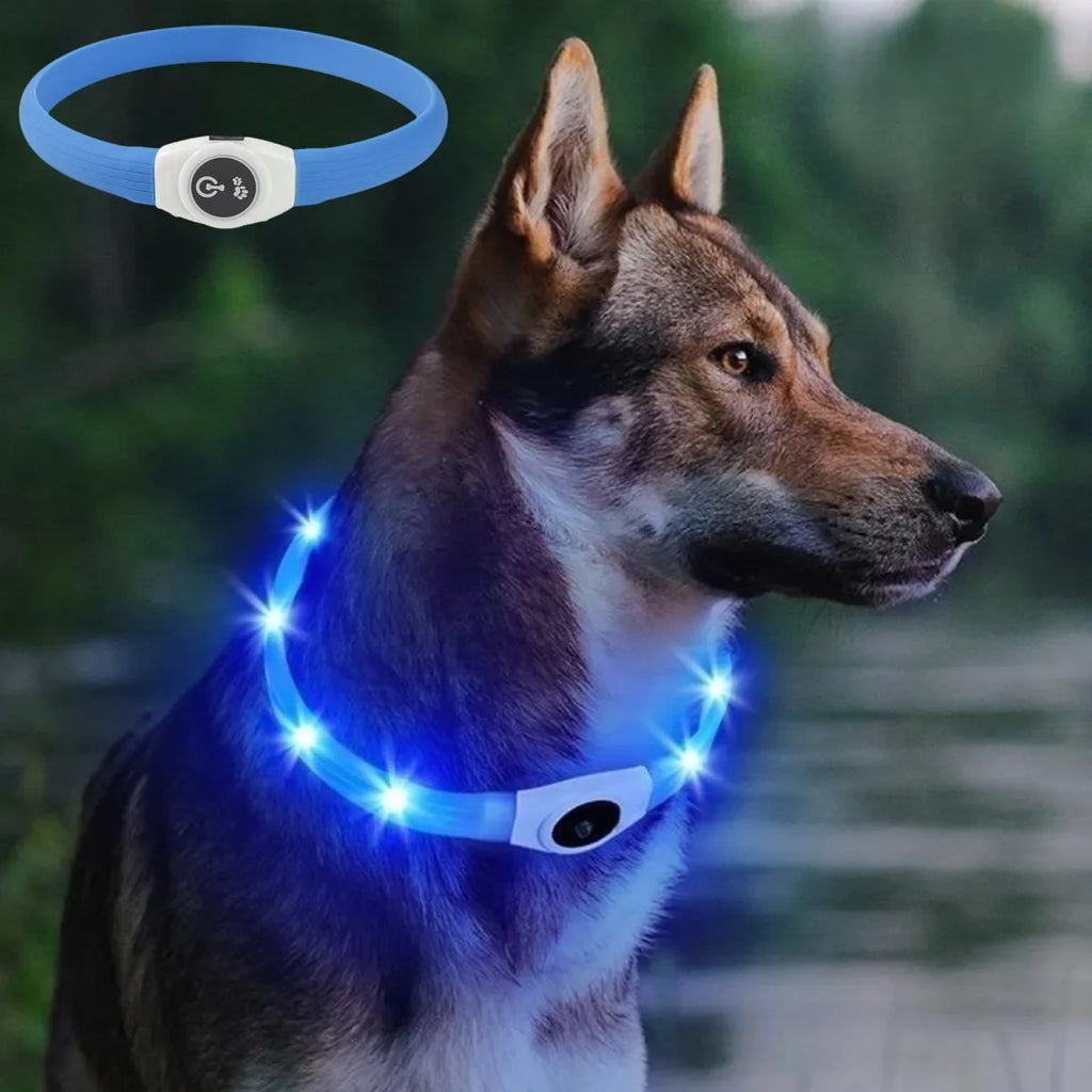 Collier lumineux LED rechargeable pour chien