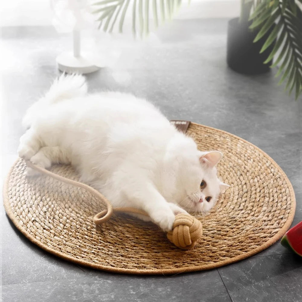 Griffoir tapis en rotin pour chat