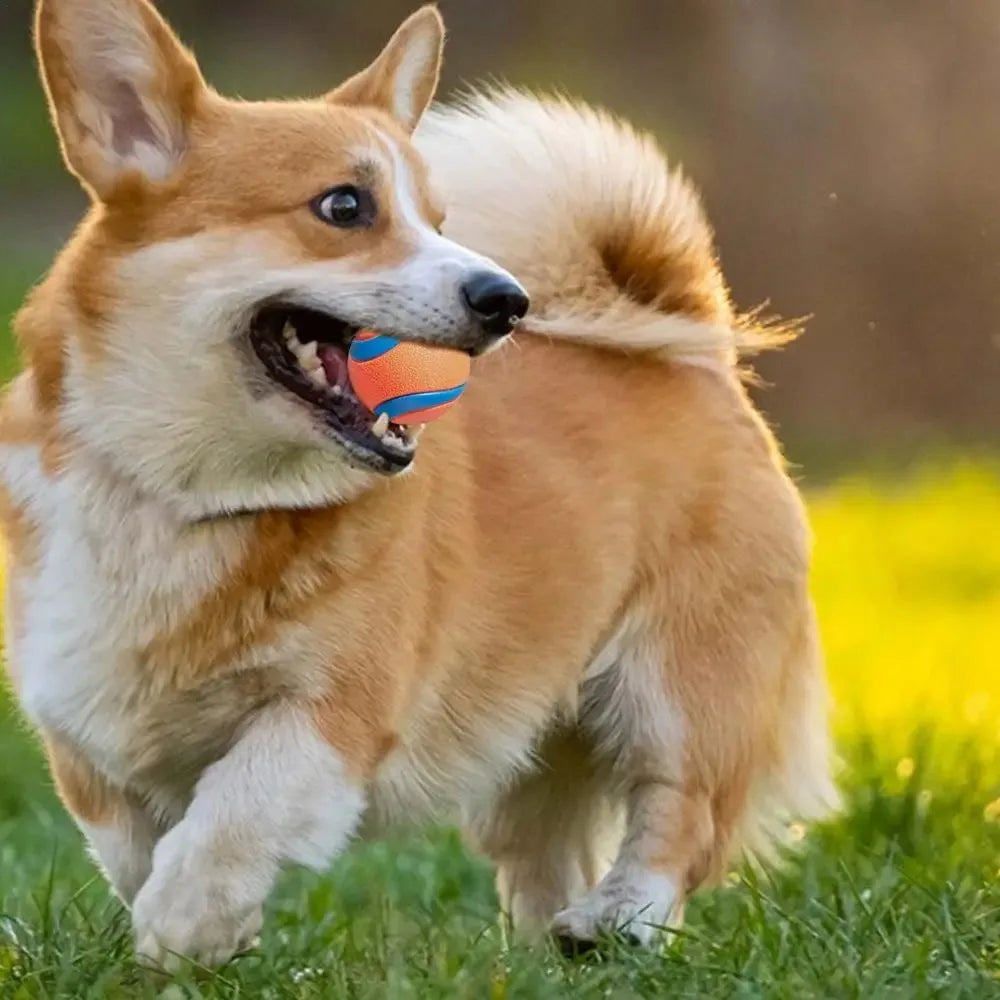 Balle rebondissante en caoutchouc pour chien