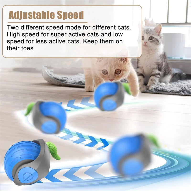 Balle interactive automatique rechargeable pour chat