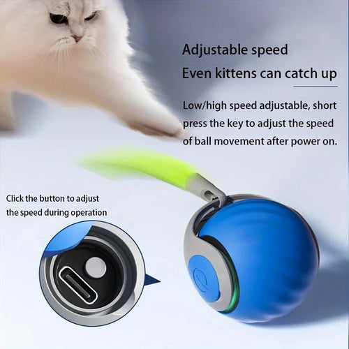 Balle interactive automatique rechargeable pour chat