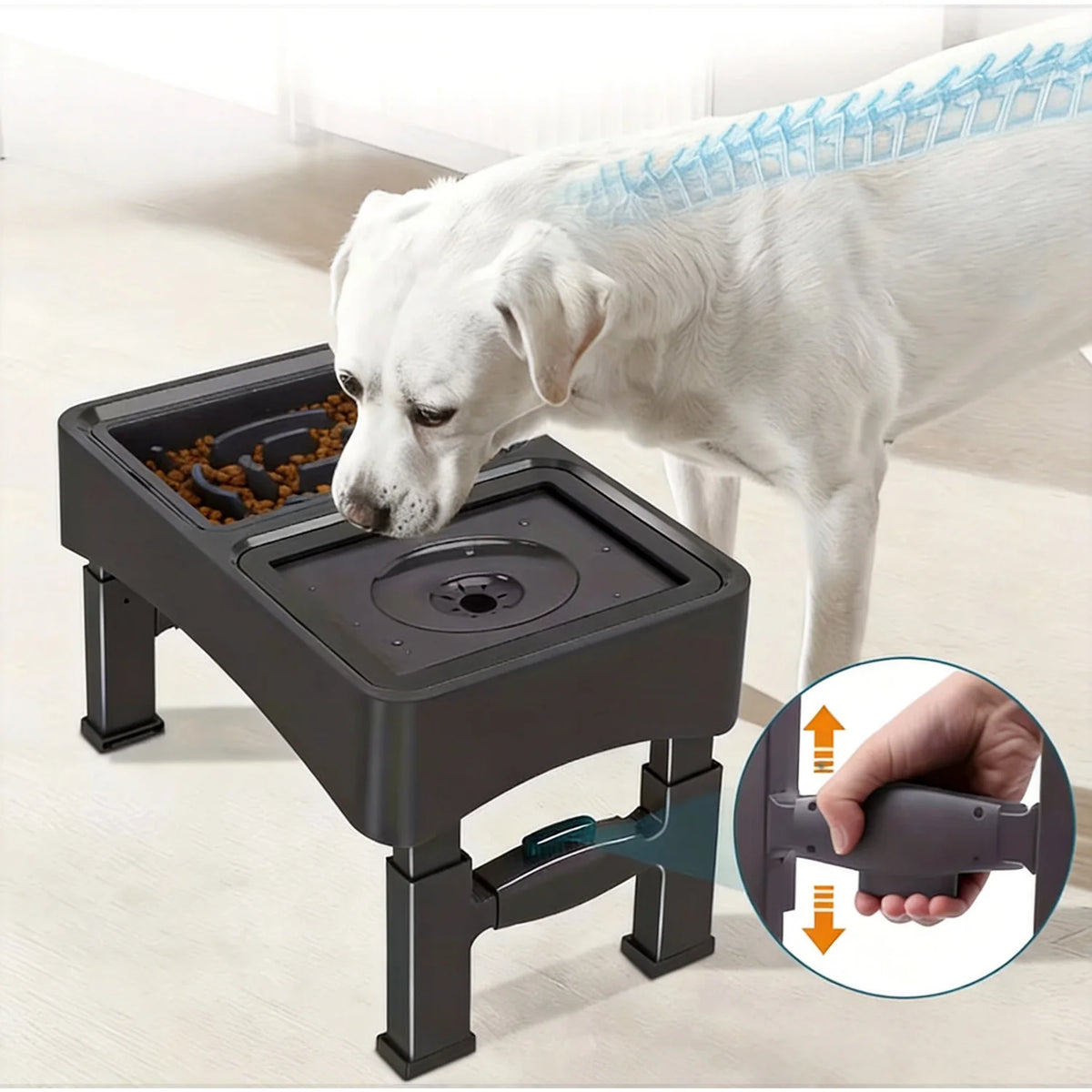 Gamelles surélevées 2-en-1 réglables pour chien