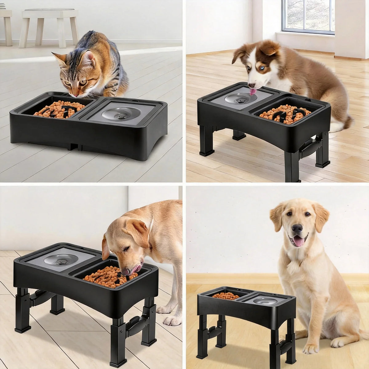 Gamelles surélevées 2-en-1 réglables pour chien
