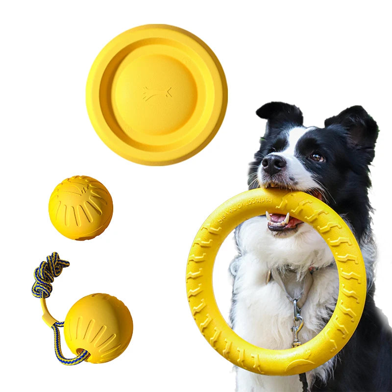 Lot de 4 jouets EVA résistants pour chien (frisbee, balles, anneau)