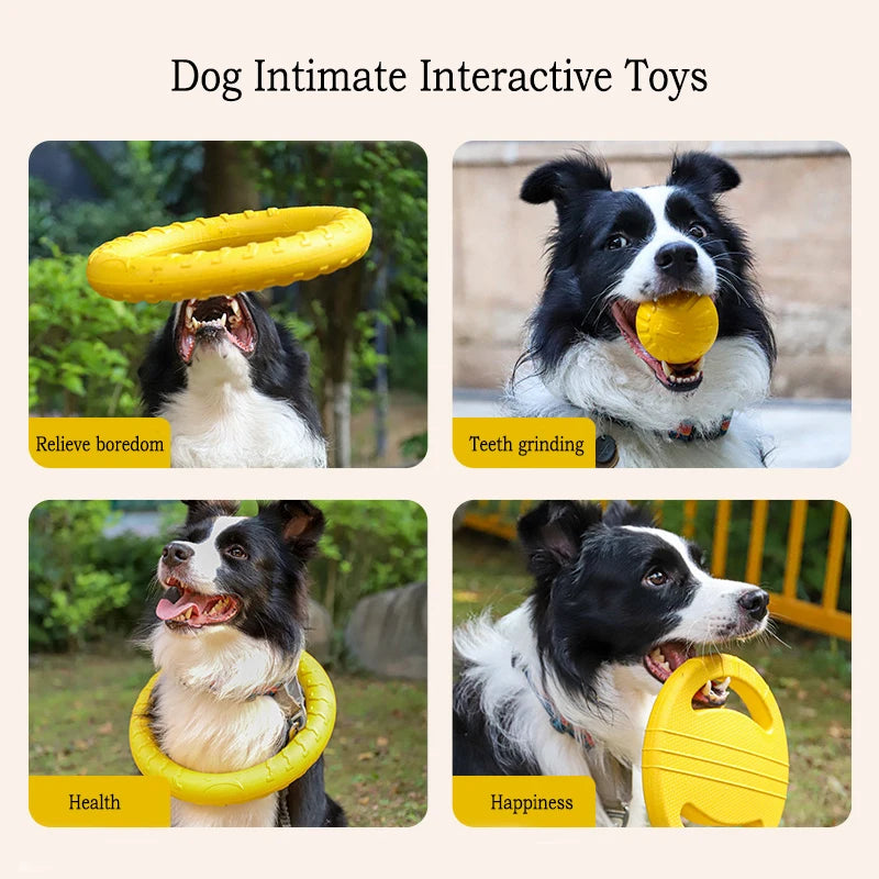 Lot de 4 jouets EVA résistants pour chien (frisbee, balles, anneau)