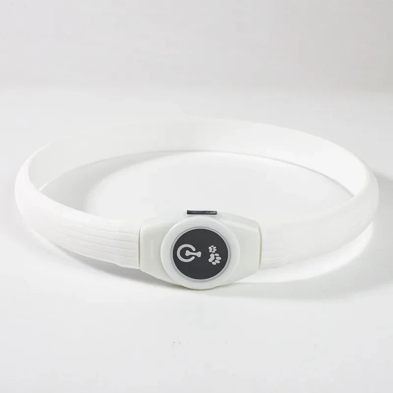 Collier lumineux LED rechargeable pour chien