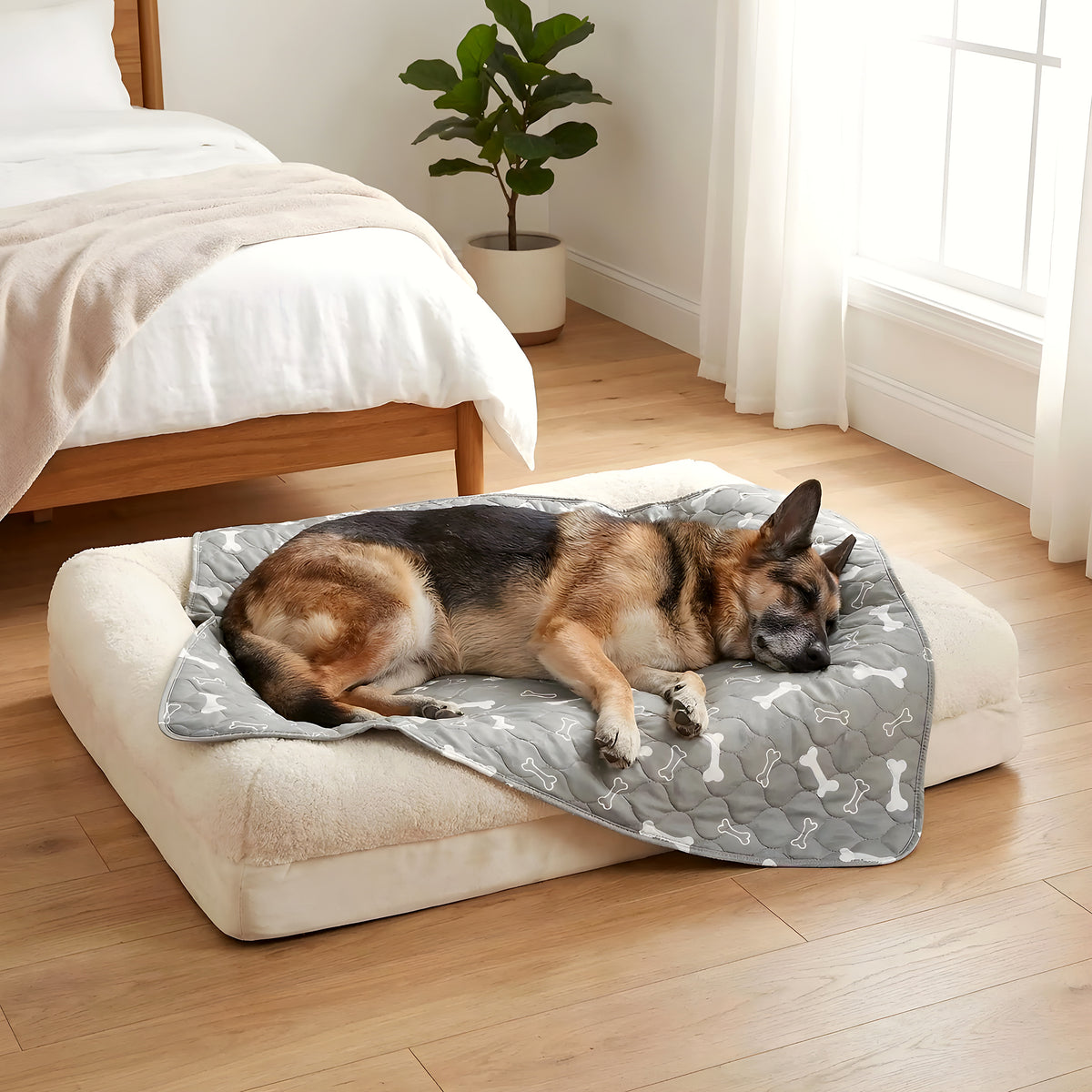 Alèse lavable 3 couches 40 x 60 cm pour chien