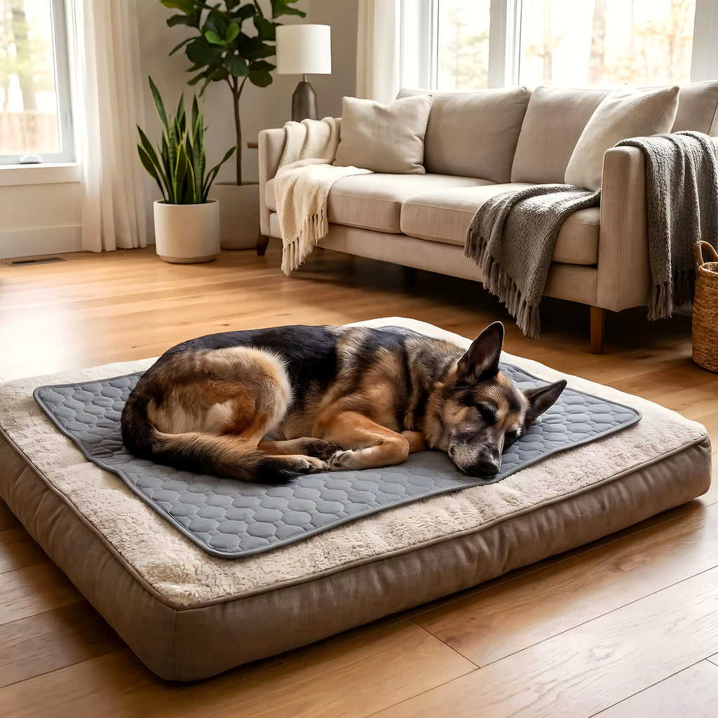 Alèse lavable absorbante pour chien, XS à XL