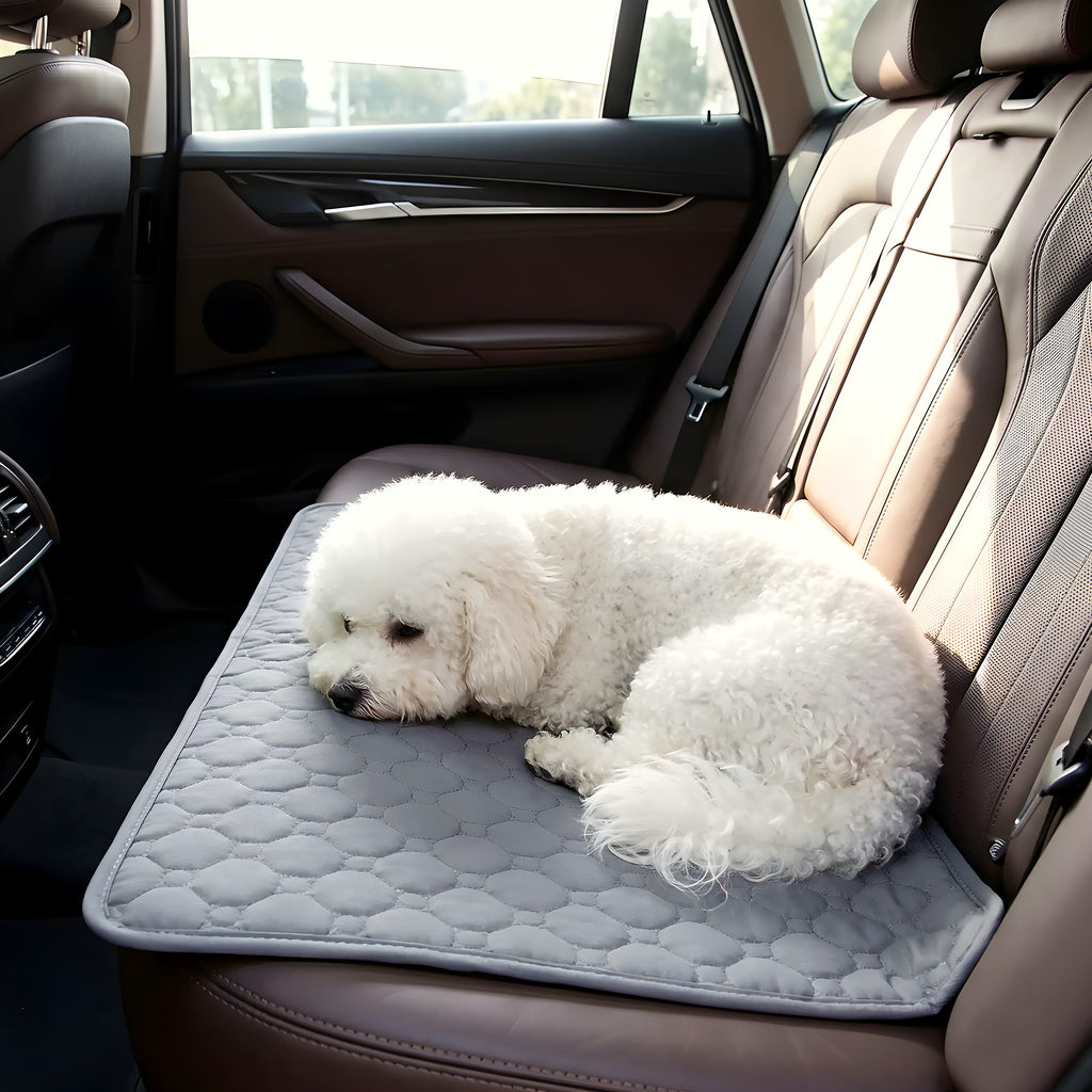 Alèse lavable absorbante pour chien, XS à XL