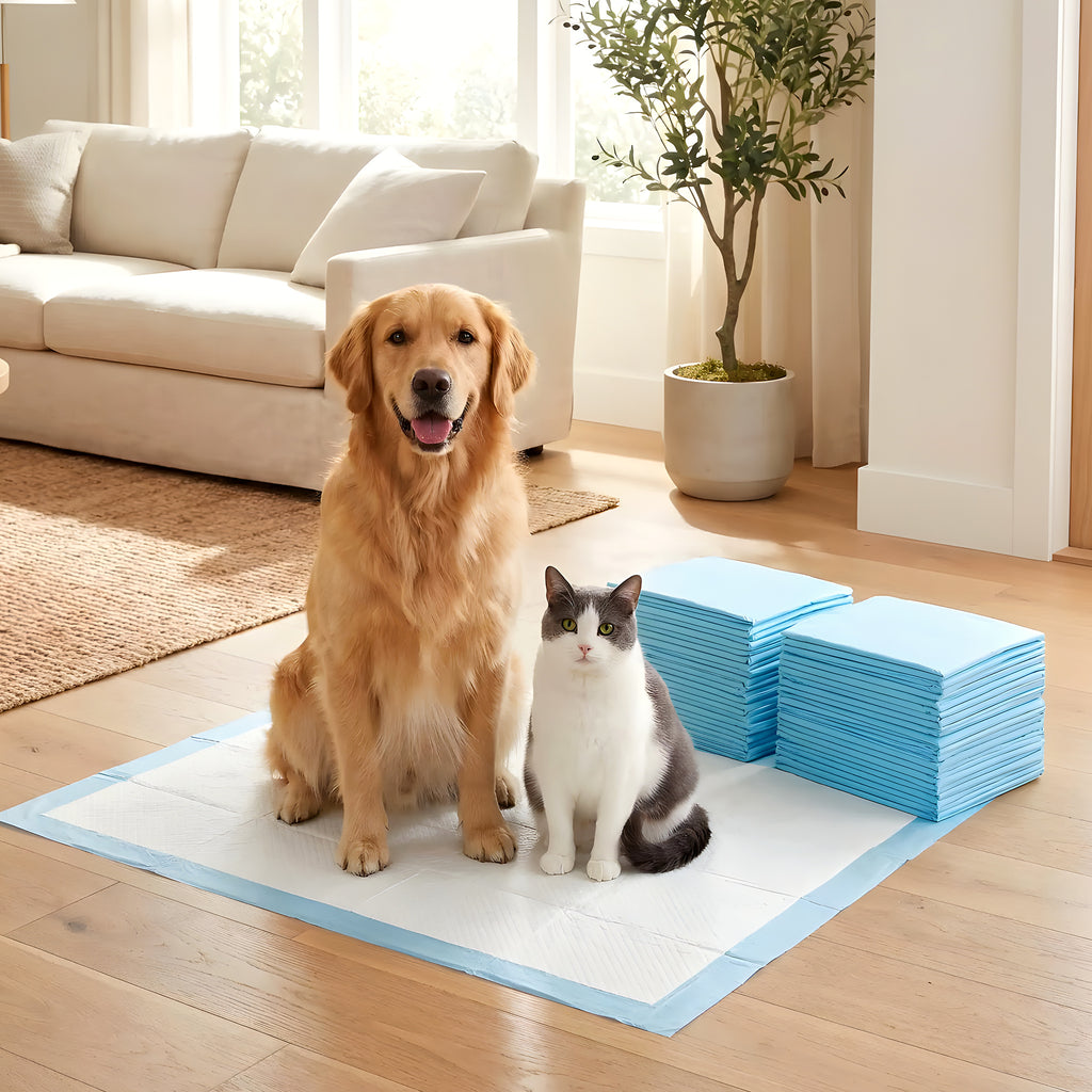 Alèses jetables ultra-absorbantes pour chien