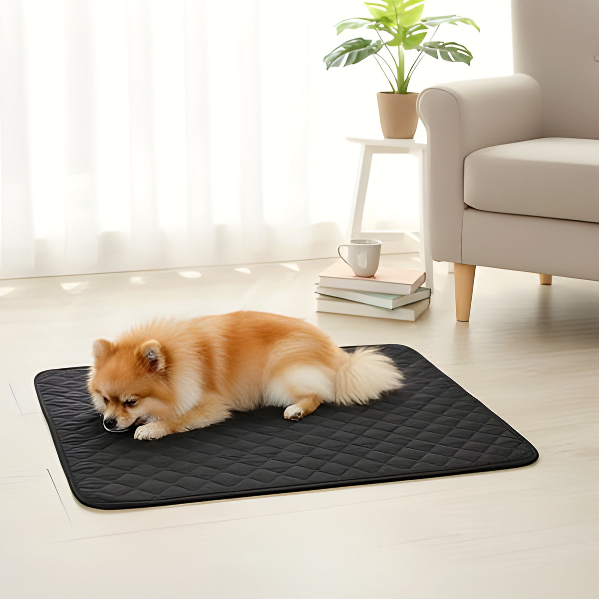 Alèses lavables 4 couches pour chien, lot de 2