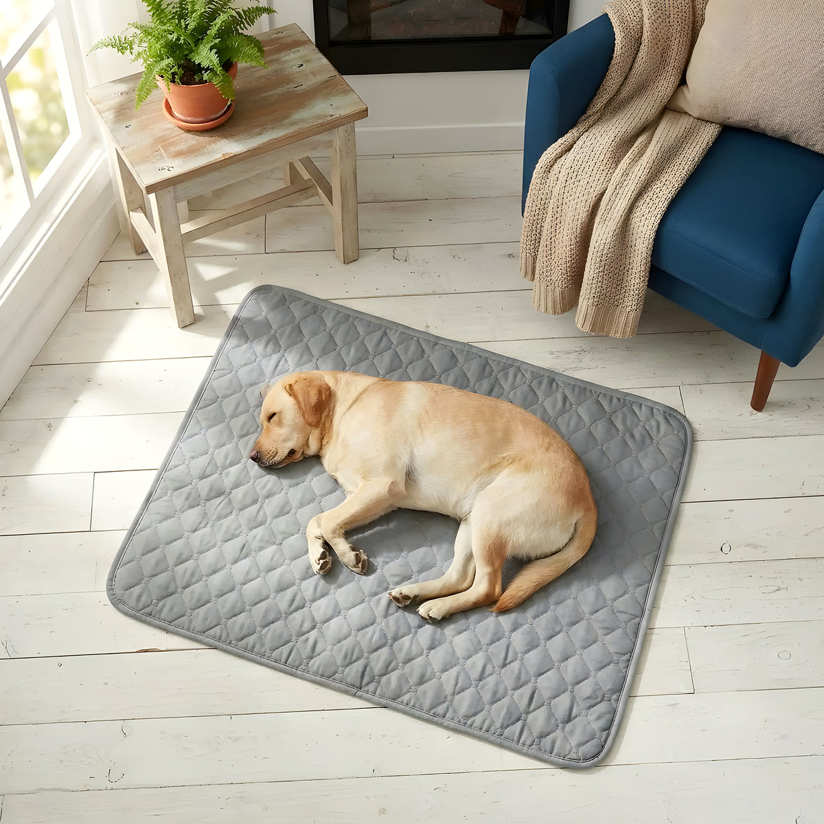 Alèses lavables 4 couches pour chien, lot de 2