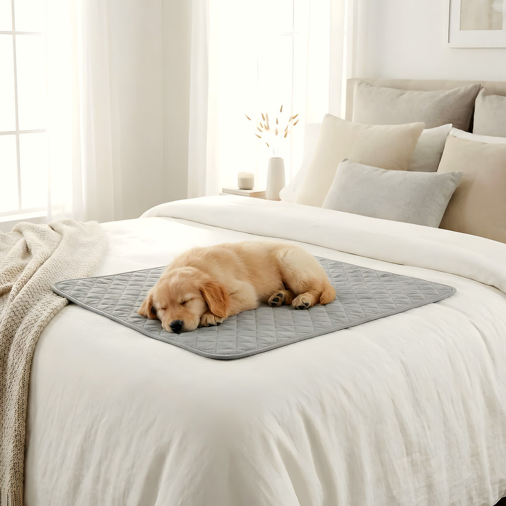 Alèses lavables 4 couches pour chien, lot de 2