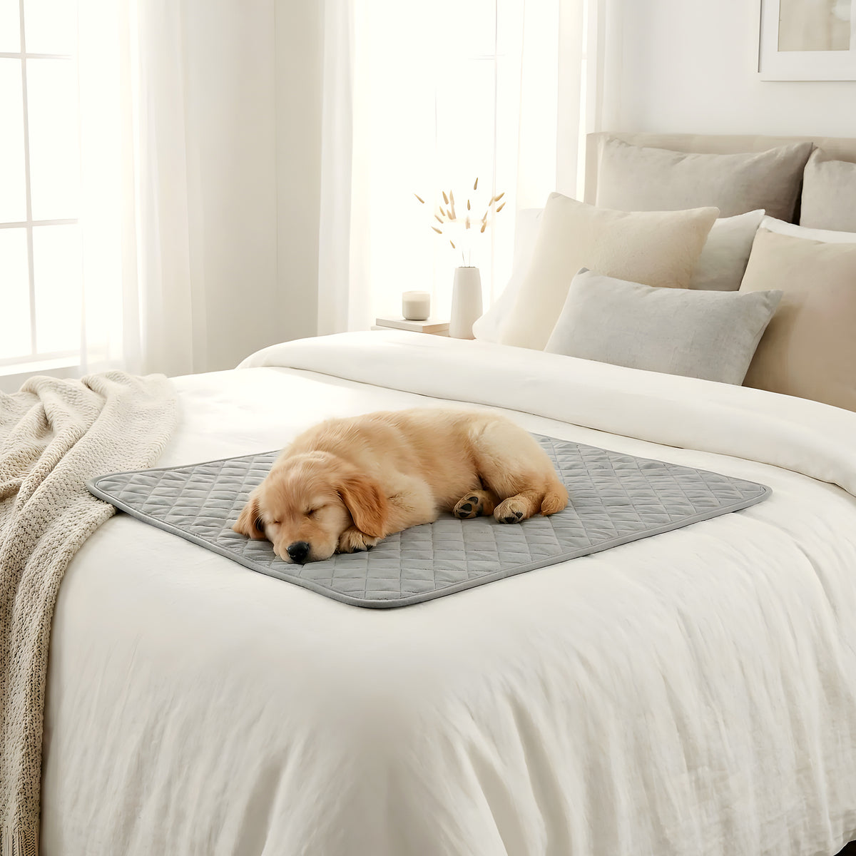 Alèses lavables 4 couches pour chien, lot de 2
