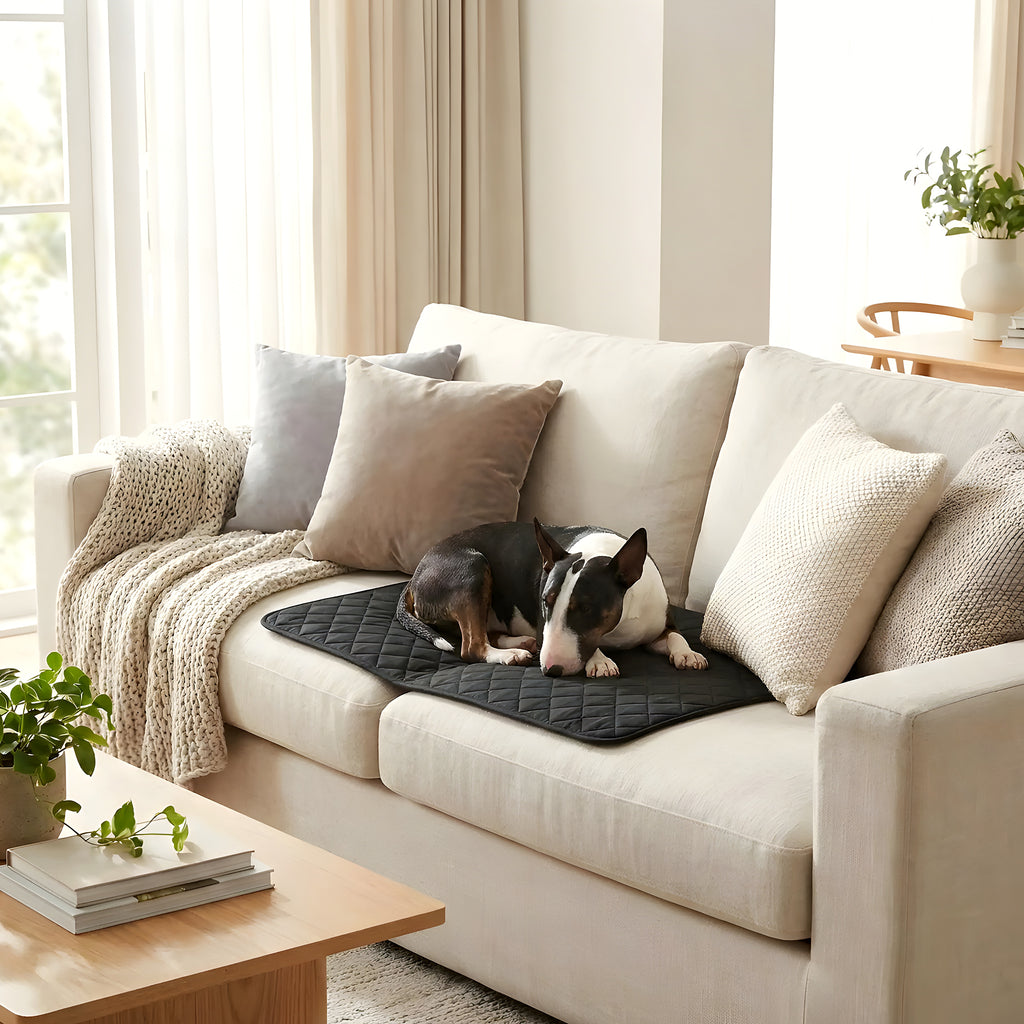 Alèses lavables 4 couches pour chien, lot de 2