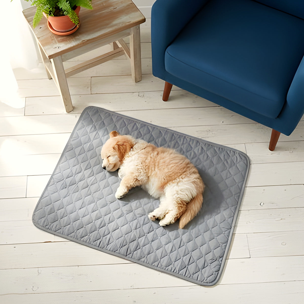 Alèses lavables 4 couches pour chien, lot de 2