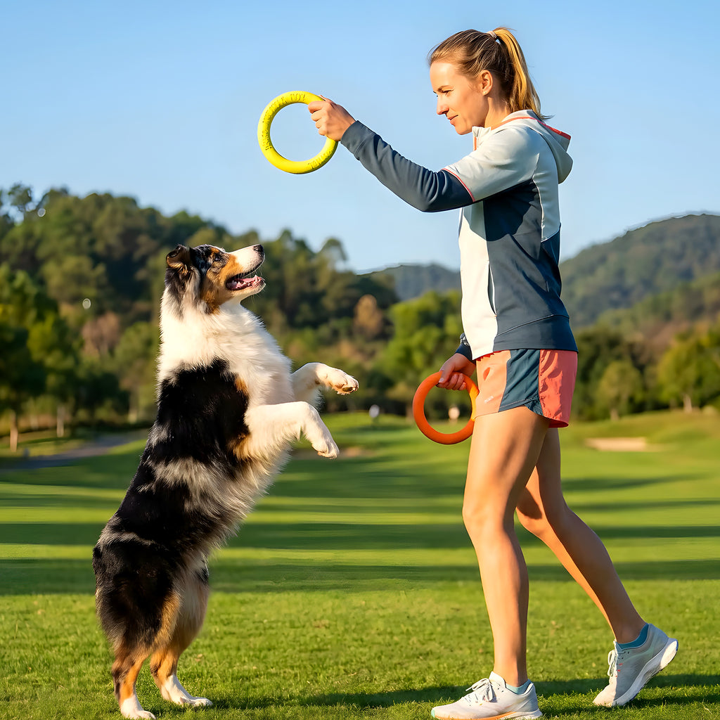 Anneau interactif en mousse EVA pour chien, 2 tailles