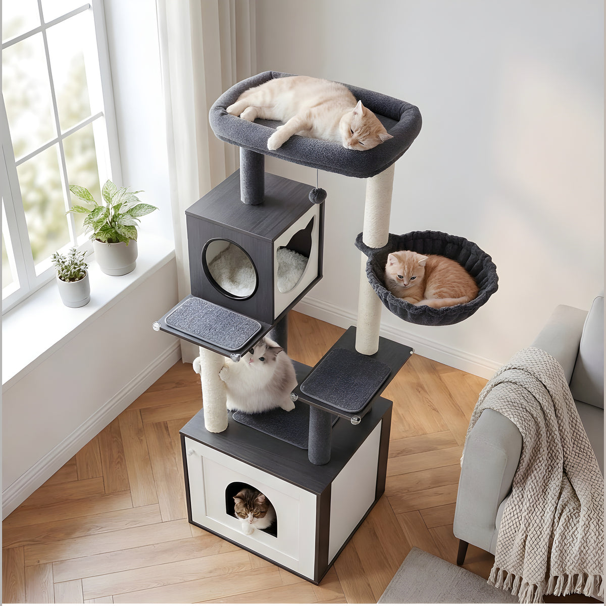 Arbre à chat avec cache-litière