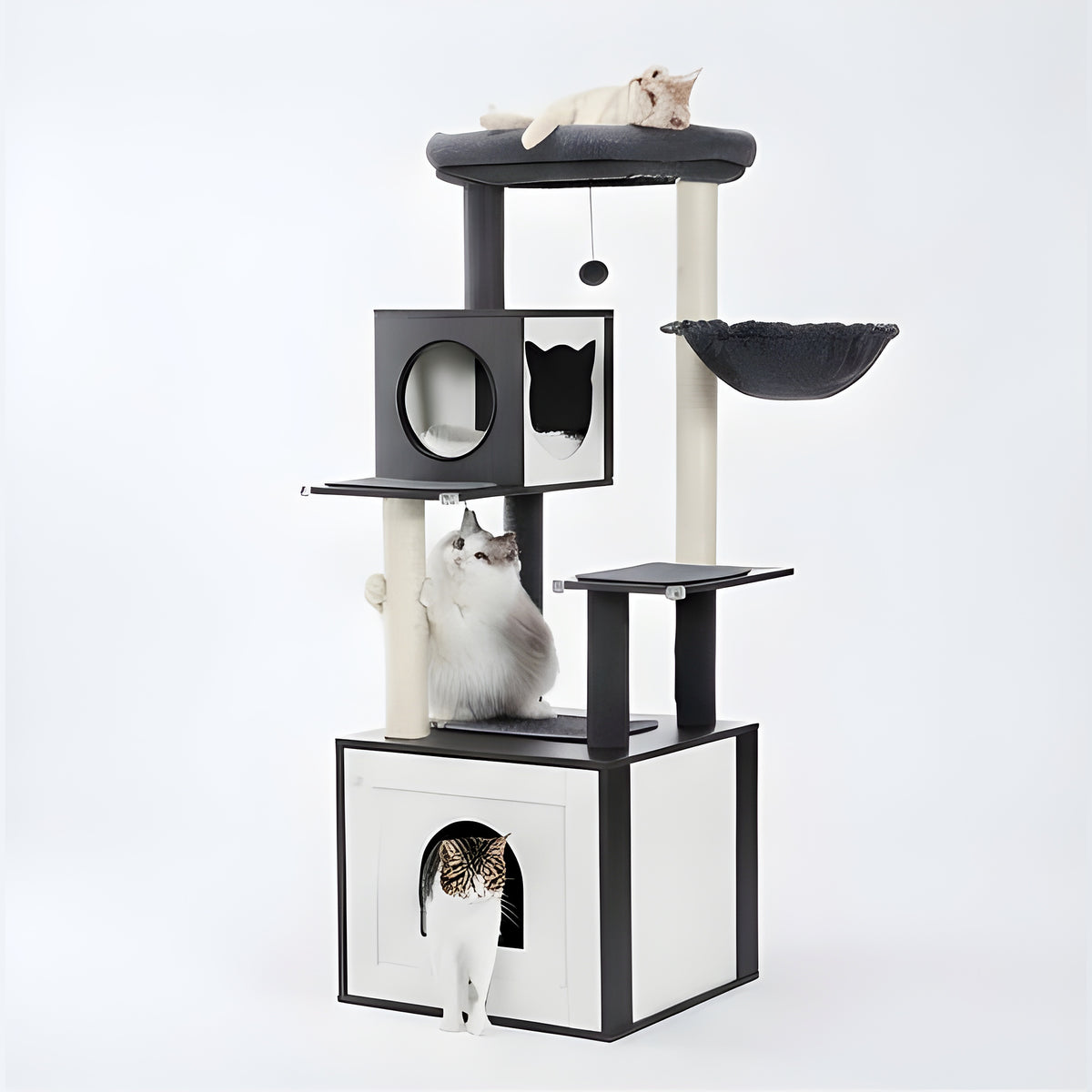 Arbre à chat avec cache-litière