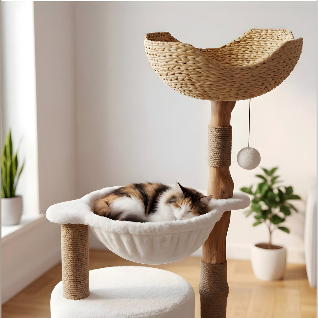 Arbre à chat blanc panier rotin