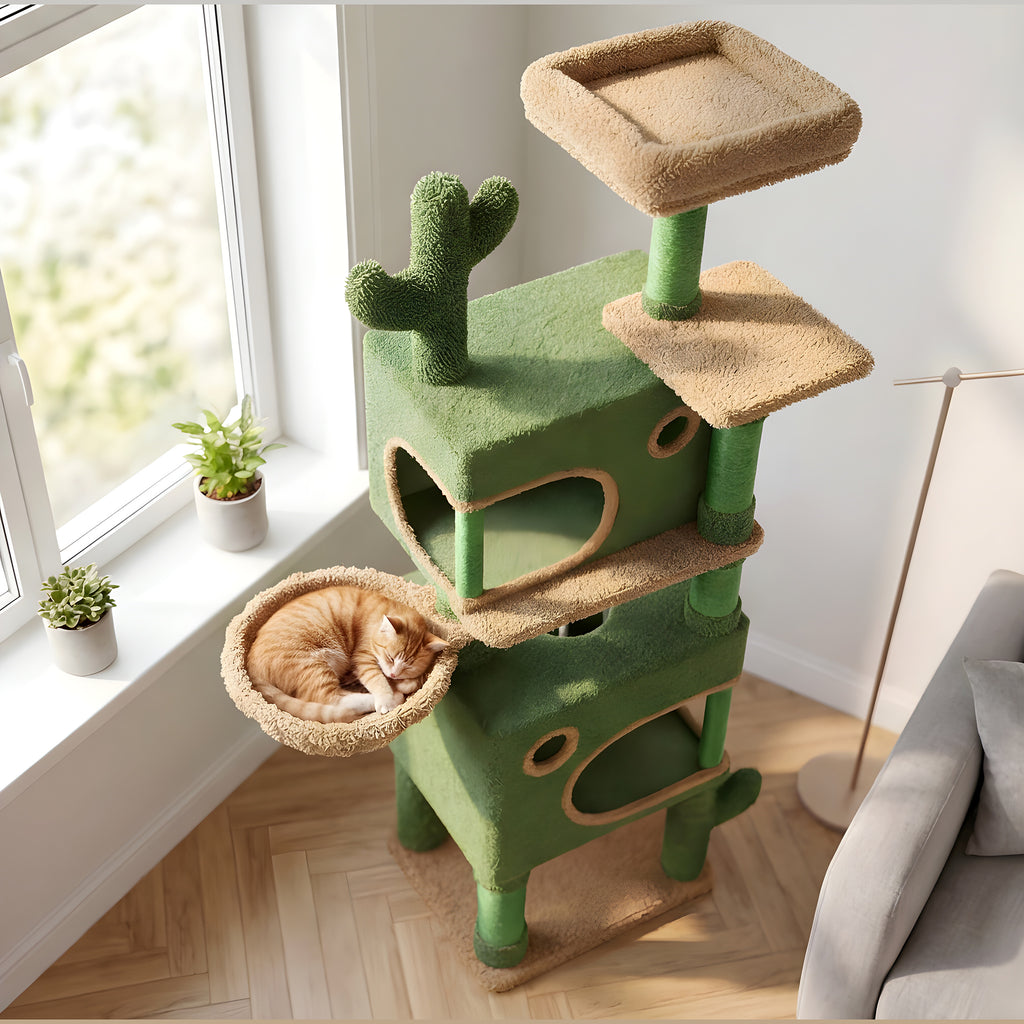 Arbre à chat cactus 165 cm