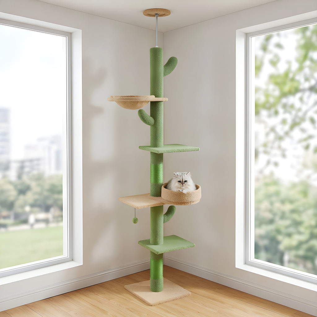 Arbre à chat cactus sol-plafond