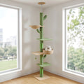 Arbre à chat cactus sol-plafond